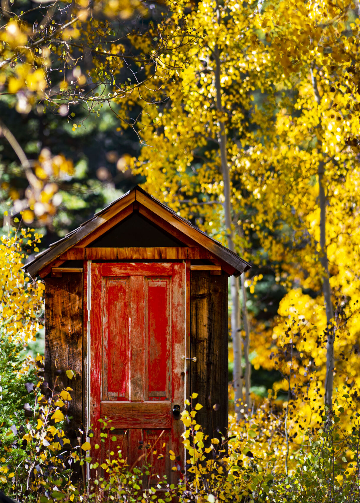 09_29_20 aspens0243.jpg